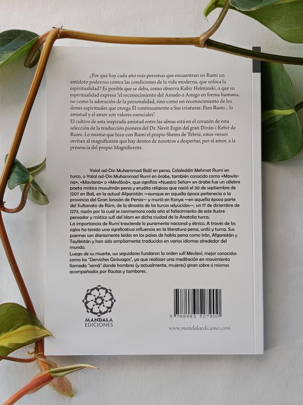 Libro "Uno Magnificente"