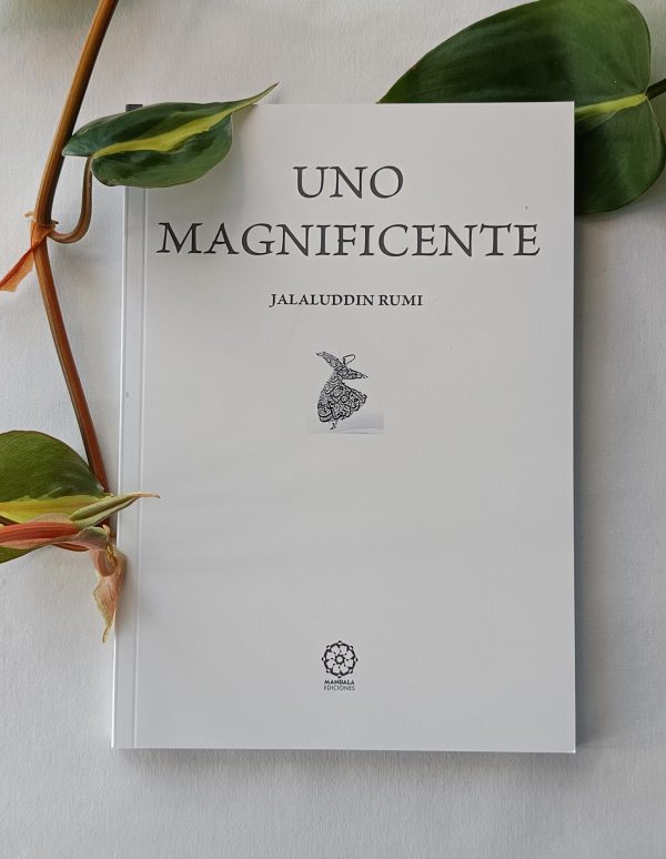 Libro "Uno Magnificente"
